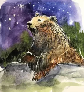 Night Bear 