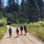 Willow Witt nature camp